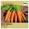 Samenliebe  Karotte Samen | Berlikum 2 - winterhart & Produktbild-Vorschau 1
