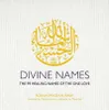 Divine Names Anteprima dell’immagine prodotto 1