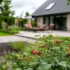A garden with a house in the background and berries in the foreground. Produktbild-Vorschau