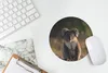MuchoWow® Mauspad Mousepad Koala - Sonne - Tier - Kinder - Produktbild-Vorschau 5