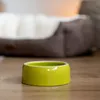 Nobby Futtertrog Keramik 500 ml, grün Produktbild-Vorschau 2