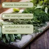 4er Set Kräutertopf mit Bewässerungssystem Kräutertopf Produktbild-Vorschau 7