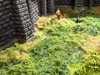 NOCH Laub-Foliage, mit Modellbau Laub, mittelgrün 20 x 23 Produktbild-Vorschau 2
