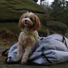 Dogeste Hundetasche, Transportbox, 3in1 Hunde Katzen Produktbild-Vorschau 2