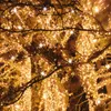 SPRINGOS LED-Lichterkette 25,5 m Warmweiß mit Flash Effekt Produktbild-Vorschau 9