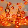 Lichterkette für den Herbst – 300 cm – 20 LEDs – Produktbild-Vorschau 3
