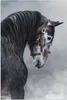 MuchoWow® Poster Pferd - Grau - Braun - Tiere - Rauch 20x30 Produktbild-Vorschau 1