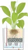 LECHUZA Pot de plantes CUBE Cottage 40 Granit | Pot de Voir les images du produit 7