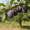 Síť na ochranu před ptáky – zahradní síť proti ptákům – Náhled obrázku produktu 2