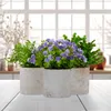 Lot de 3 plantes artificielles Relaxdays, assortiment de Voir les images du produit 2