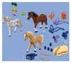 PLAYMOBIL: Tři sběratelské figurky koní Náhled obrázku produktu 7