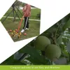 Sběrač ořechů Nastavitelný lehký sběrač ořechů na kolečkách Náhled obrázku produktu 4