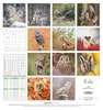 Alpha Edition - Eulen 2026 Broschürenkalender, 30x30cm, Produktbild-Vorschau 2