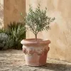 Teramico Terracotta Topf "Conca Limoni" 20cm optional Produktbild-Vorschau 5