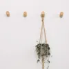 Four wooden hooks are mounted on a white wall. A plant in a gray pot is hanging from the middle hook with a jute rope. Produktbild-Vorschau