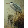 COBBLE HILL Blue Heron Puzzle 500 elementów Podgląd zdjęcia produktu 1