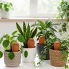 Relaxdays, sada 4 kusů kónických nádob na zalévání, objem Náhled obrázku produktu 2