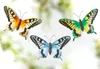 Kobolo Wand- Deko Schmetterling Schwalbenschwanz XXL - 3er Produktbild-Vorschau 3