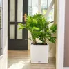 Lechuza Samozavlažovací květináč Cube Cottage 40 cm, bílá Náhled obrázku produktu 17