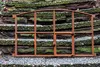 An old, rusty metal window frame rests on moss-covered stone steps. Produktbild-Vorschau