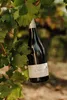 Gérard Bertrand Limoux Chardonnay Domaine de L'Aigle 2023 Produktbild-Vorschau 3