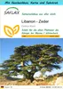 SAFLAX - Geschenk Set - Libanon - Zeder - 20 Samen - Mit Produktbild-Vorschau 1