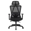 Fotel Biurowy Obrotowy Ergonomiczny Czarny Horseking Siatka Podgląd zdjęcia produktu 3
