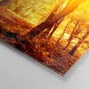 Bilder auf glas - Wald Baum Natur - 120x50cm - Glasbilder - Produktbild-Vorschau 5