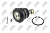NTY ZSG-TY-015 Querlenker Oben Vorne für TOYOTA HILUX III Produktbild-Vorschau 2