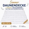 Betten Hofmann Kinder Sommer Daunenbett Daunendecke 100x135 Produktbild-Vorschau 6