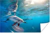 MuchoWow® Poster Delfin - Sonne - Wasser 180x120 cm - Produktbild-Vorschau 1