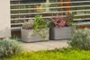 PLASTIA s.r.o. Jardinière à arrosage automatique Berberis Voir les images du produit 13