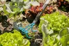 Gardena Combisystem Grubber-Harke Produktbild-Vorschau 7