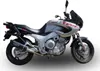 GPR Slip-On Auspuff Furore Schwarz für Yamaha TDM 850 Produktbild-Vorschau 2