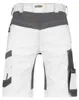 Dassy Stretch-Malershorts Axis 250090 PESCO41 Gr. 50 Produktbild-Vorschau 4