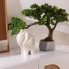 Bonsaï artificiel dans un pot « Polin » en céramique verte, Voir les images du produit 4