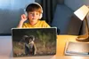 MuchoWow® Laptop Aufkleber Sticker Cover Koala - Sonne - Produktbild-Vorschau 3