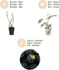 GreenboutiQ - Obstpflanzen - Immergrüne Brombeere - Rubus Produktbild-Vorschau 4