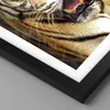 Gerahmtes Poster - Schwarzer Rahmen - tiger tier - 70x100 Produktbild-Vorschau 2