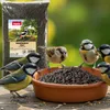 PANTO Sonnenblumenkerne schwarz 2,5kg - für Wildvögel Produktbild-Vorschau 3
