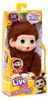 Little Live Pets - My Baby Monkey Minis Brown Cherri Produktbild-Vorschau 10