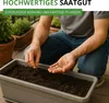Koriander Comun Samen - Coriandrum sativum - Koriandersamen Produktbild-Vorschau 7