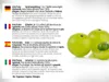 DR WAKDE'SAmla Fruchtpulver (Amalaki | Emblica officinalis) Produktbild-Vorschau 5