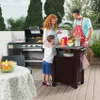 Keter Table d'appoint / Table barbecue 1 porte graphite Voir les images du produit 16