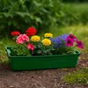 Boîte de jardinage Bac à plantes Bac à repiquer Vert 58 x Voir les images du produit 4
