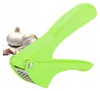 Verk 07204 Pressa per aglio 15,5 cm, rosso Anteprima dell’immagine prodotto 4