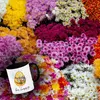 Pummel Biene Kaffeebecher in schwarz mit Spruch Bee happy Produktbild-Vorschau 3