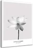 Leinwandbild weiße lotosblume 60x90 cm Feeby grau wandbild Produktbild-Vorschau 1
