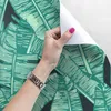 Coloray Fototapete 250x104 cm Latextapete Magicstick - Produktbild-Vorschau 3