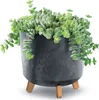 nabbi Vaso di plastica su gambe DGTL300LE 29,8 cm - Anteprima dell’immagine prodotto 3